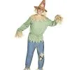 Spirit Halloween Adult Scarecrow Costume -Mens Costumes Shop 01312115 a